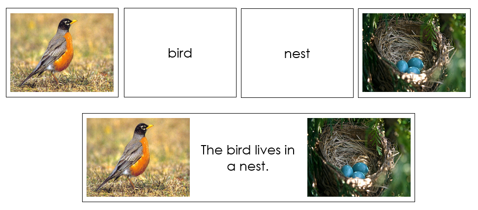 Animals And Their Homes Matching Cards - Montessori Print Shop Digital Download