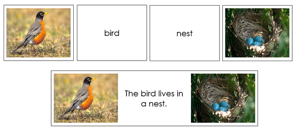 Animals And Their Homes Matching Cards - Montessori Print Shop Digital Download