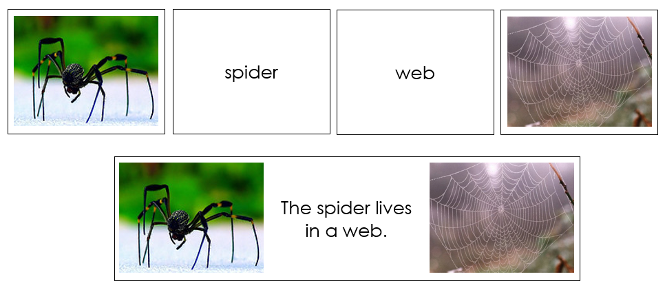 Animals And Their Homes Matching Cards - Montessori Print Shop Digital Download