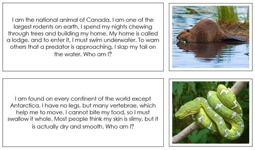 Animal Stories (Set 1) - Printable Montessori material - Montessori Print Shop Digital Download