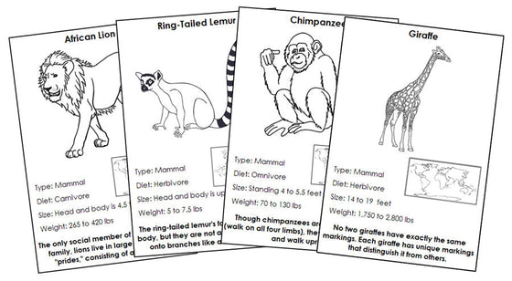 Animals of Africa Information Blackline Masters - Montessori Print Shop Digital Download