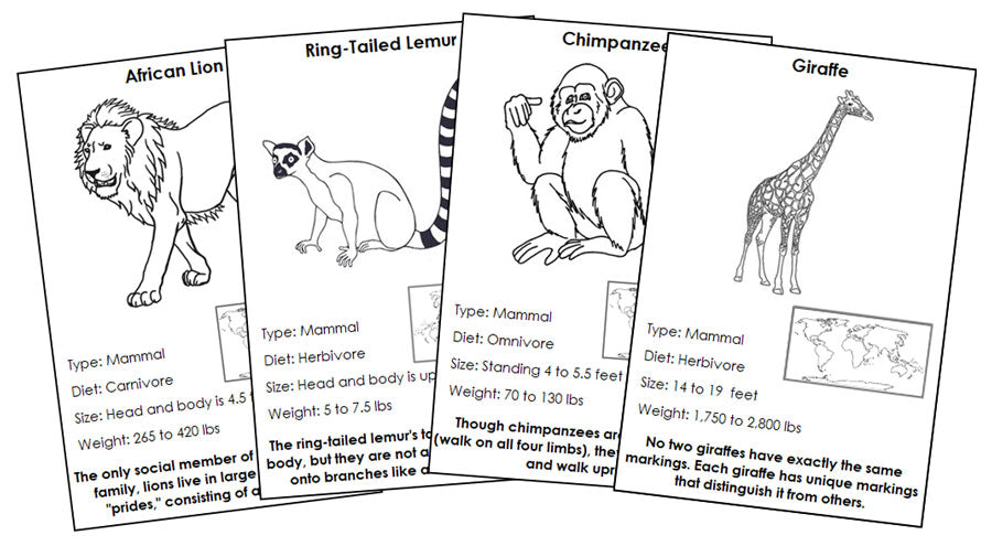 Animals of Africa Information Blackline Masters - Montessori Print Shop Digital Download