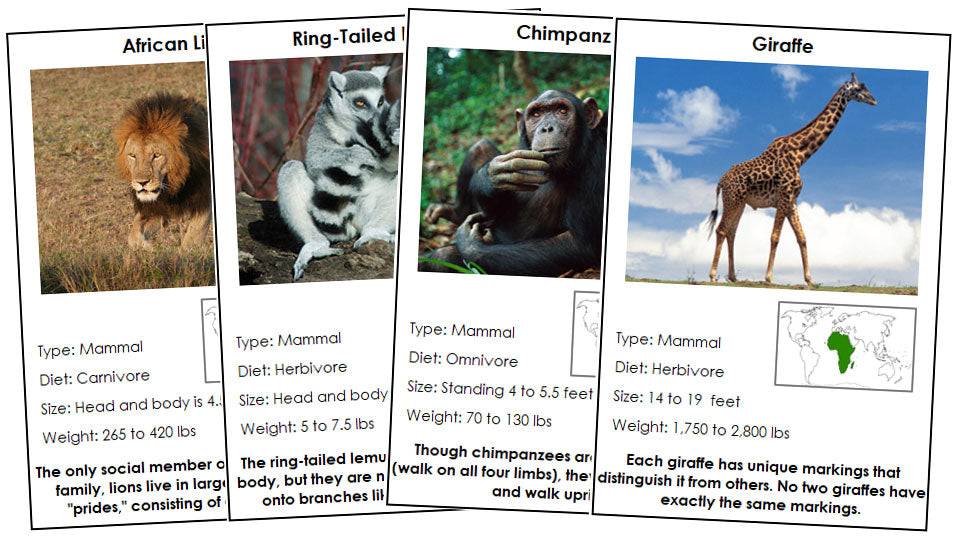 Animals of Africa Information Cards (color-coded) - Montessori Print Shop Digital Download