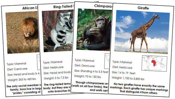 animals of Africa (red) - Montessori Print Shop Digital Download