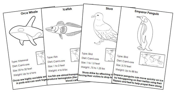 Animals of Antarctica Information Blackline Masters - Montessori Print Shop Digital Download