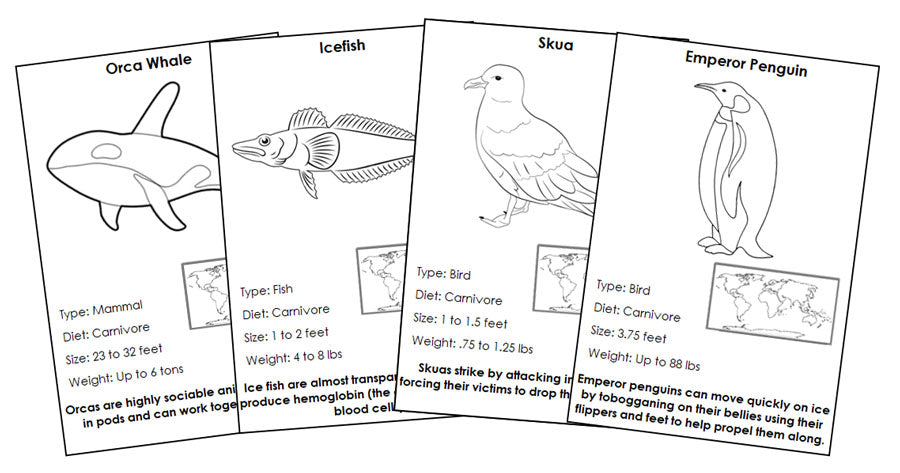 Animals of Antarctica Information Blackline Masters - Montessori Print Shop Digital Download