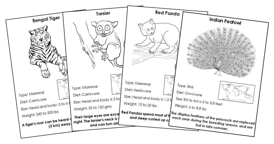 Animals of Asia Information Blackline Masters - Montessori Print Shop Digital Download