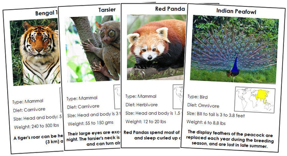 Animals of Asia (color-coded) - Montessori Print Shop Digital Download