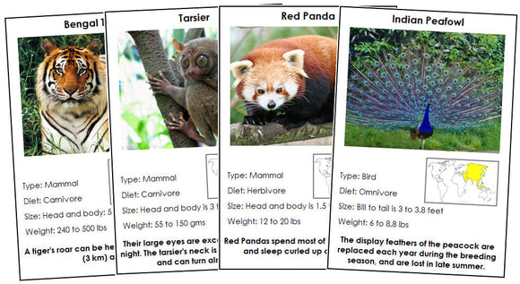 Animals of Asia (color-coded) - Montessori Print Shop Digital Download