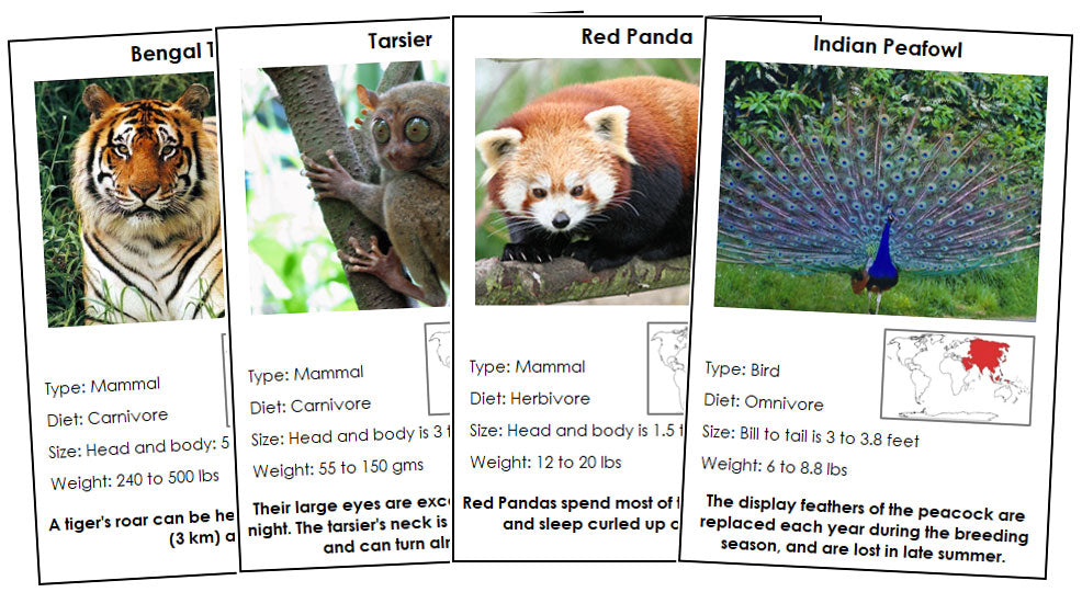 Animals of Asia Information Cards - Montessori Print Shop Digital Download