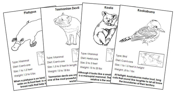 Animals of Australia/Oceania Information Blackline Masters - Montessori Print Shop Digital Download