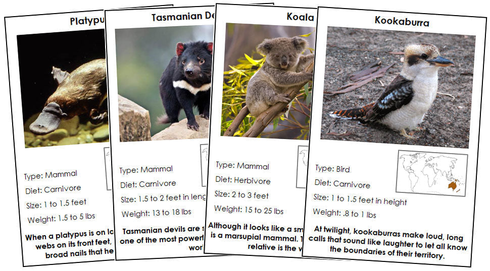 Animals of Australia/Oceania (color-coded) - Montessori Print Shop Digital Download