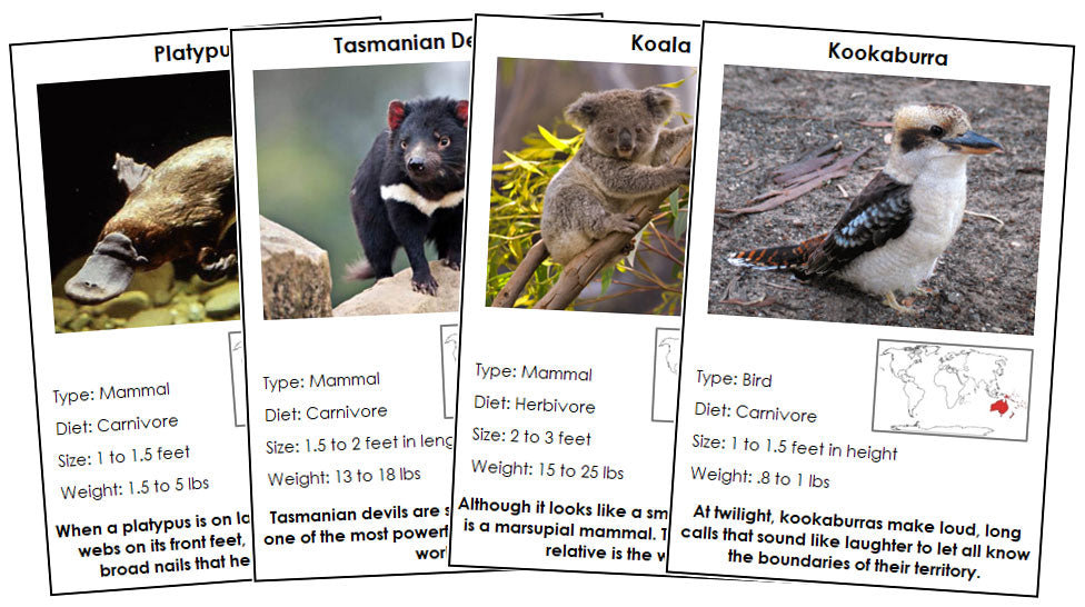 Animals of Australia/Oceania Information Cards - Montessori Print Shop Digital Download