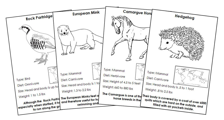 Animals of Europe Information Blackline Masters - Montessori Print Shop Digital Download