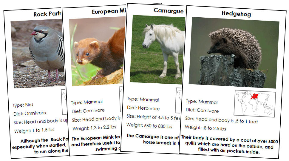 Animals of Europe (color-coded) - Montessori Print Shop Digital Download