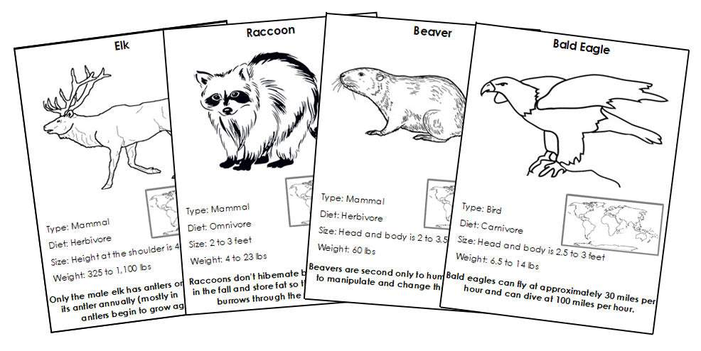 Animals of North America Information Cards Blackline Master Bundle - Montessori Print Shop