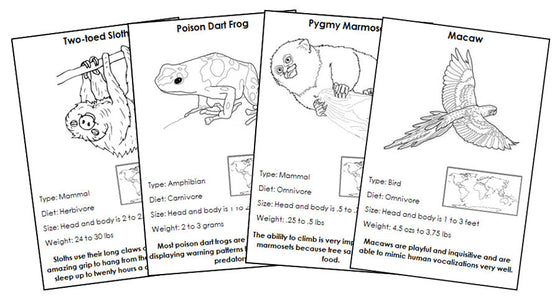 Animals of South America Information Blackline Masters - Montessori Print Shop Digital Download