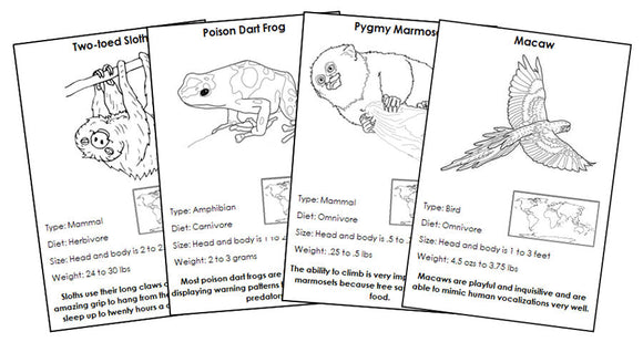 Animals of South America Information Blackline Masters - Montessori Print Shop Digital Download