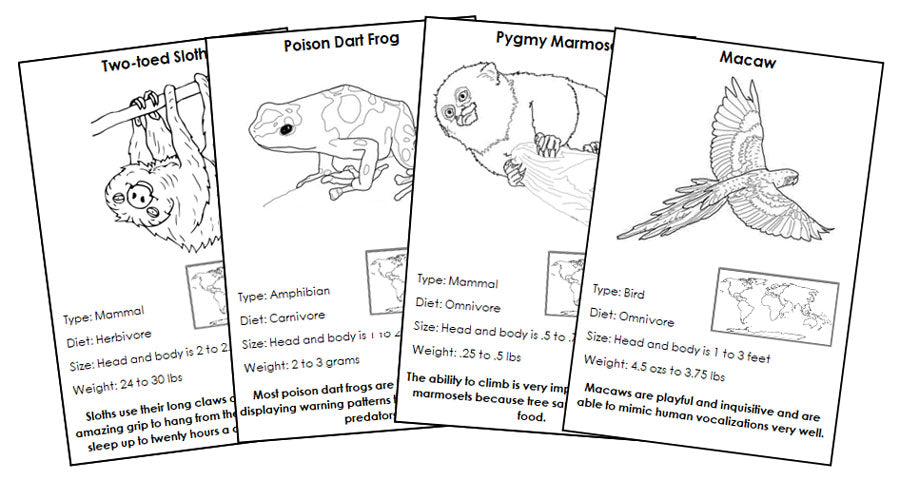 Animals of South America Information Blackline Masters - Montessori Print Shop Digital Download