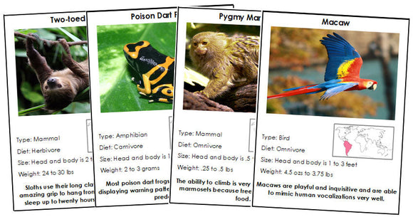 Animals of South America (color-coded) - Montessori Print Shop Digital Download