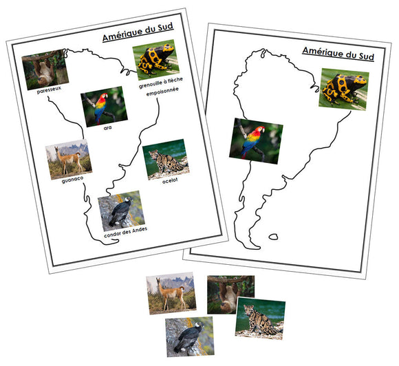 Animals of the Continents (FRENCH) - Montessori Print Shop Digital Download - Geography