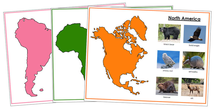 Animals of the Continents Set 2 (color-coded) - Montessori Print Shop