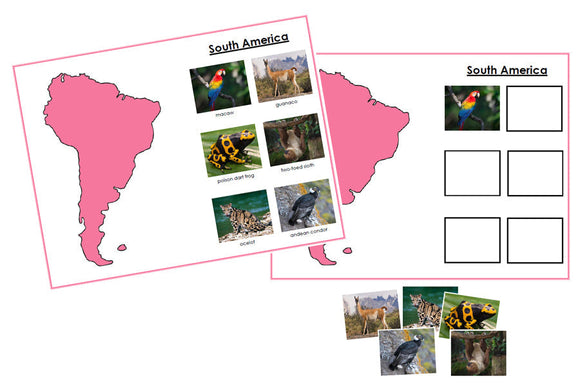 Animals of the Continents Set 2 (color-coded) - Montessori Print Shop Digital Download