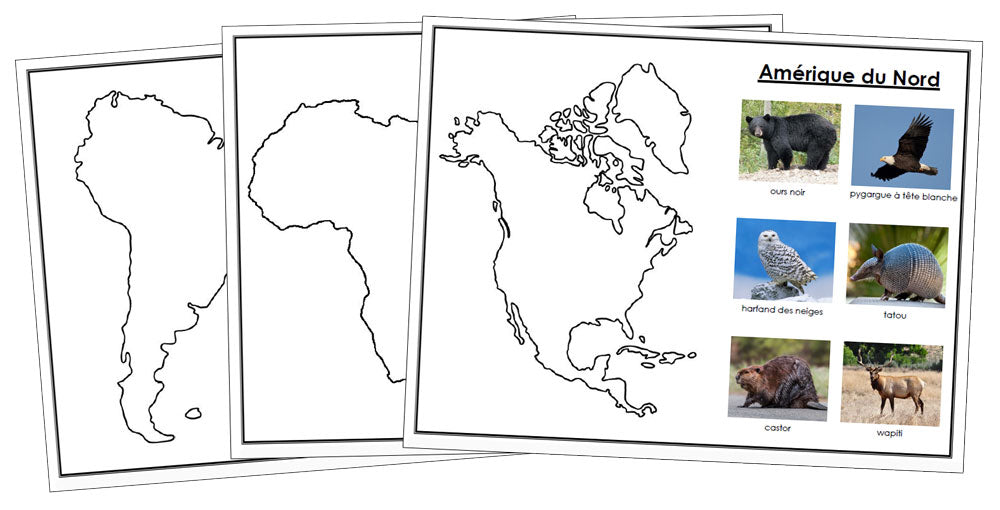 Animals of the 7 Continents - Set 2 - FRENCH - Montessori Print Shop Digital Download - Geography 