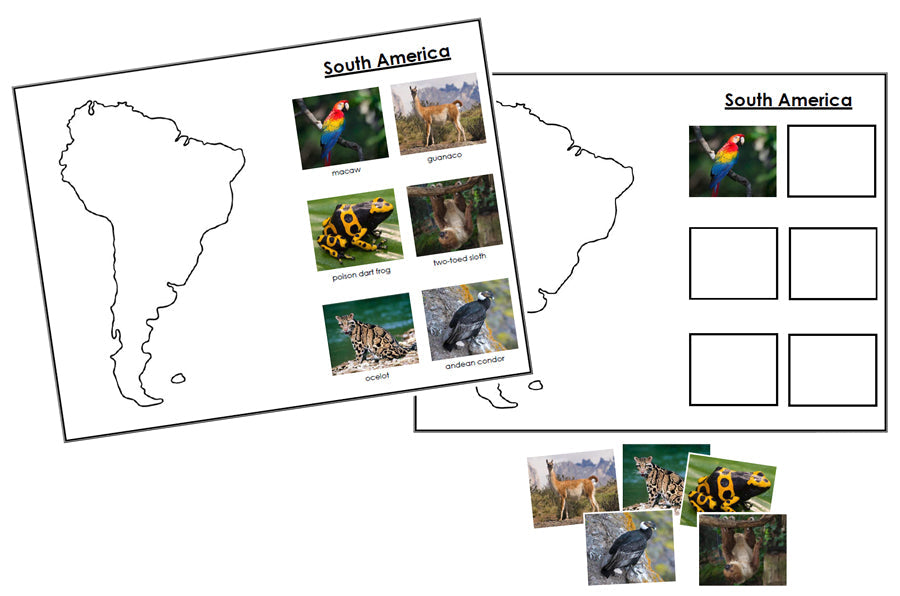 Animals of the Continents (Set 2) - Montessori Print Shop geography and zoology lesson