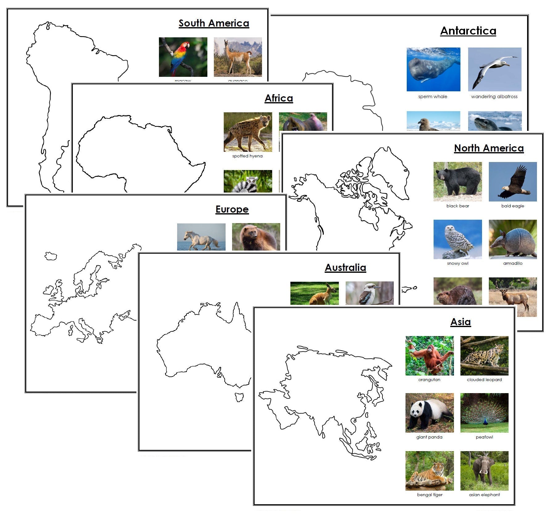 Animals of the Continents (Set 2) - Montessori Print Shop geography and zoology lesson