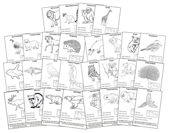 Animals of the World Information Cards Blackline Master Bundle - Montessori Print Shop