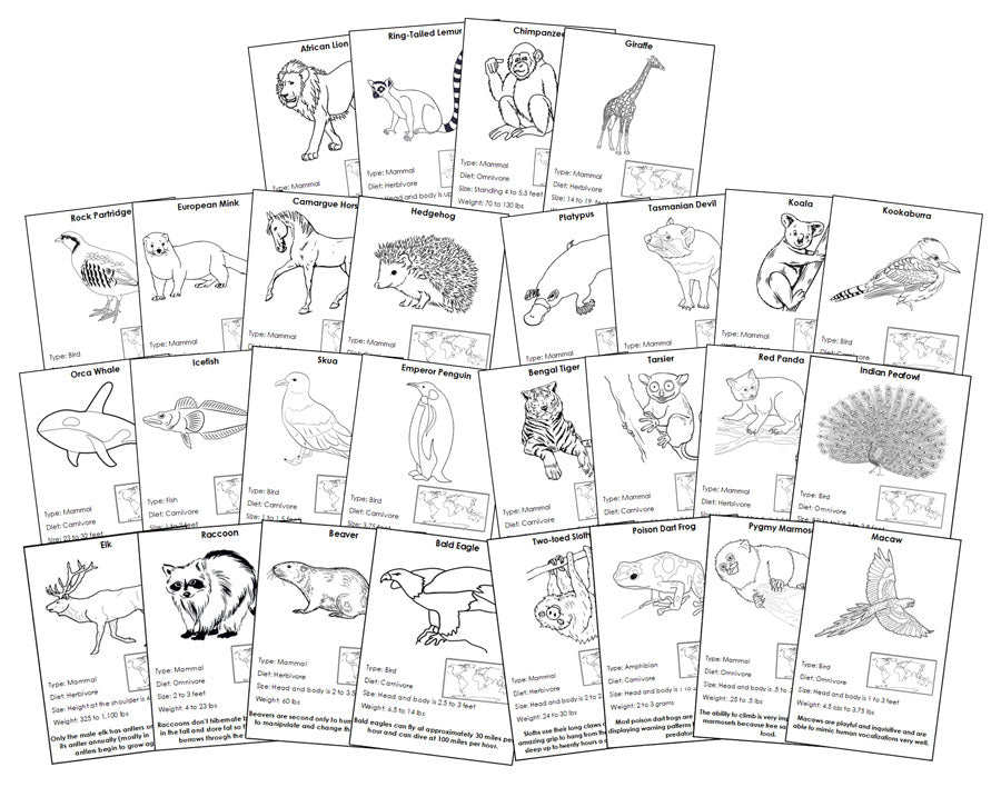 Animals of the World Information Cards Blackline Master Bundle - Montessori Print Shop