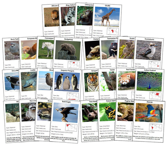 Animals of the World Information Cards Bundle - Montessori Print Shop