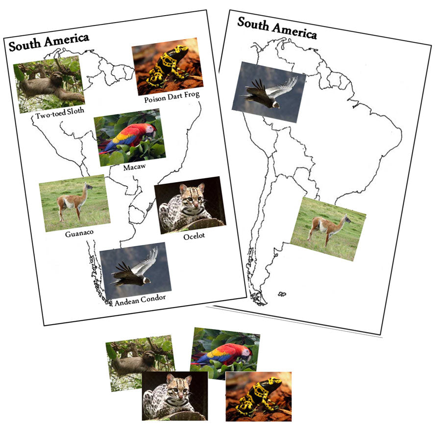Animals of the Continents - Montessori Print Shop Digital Download
