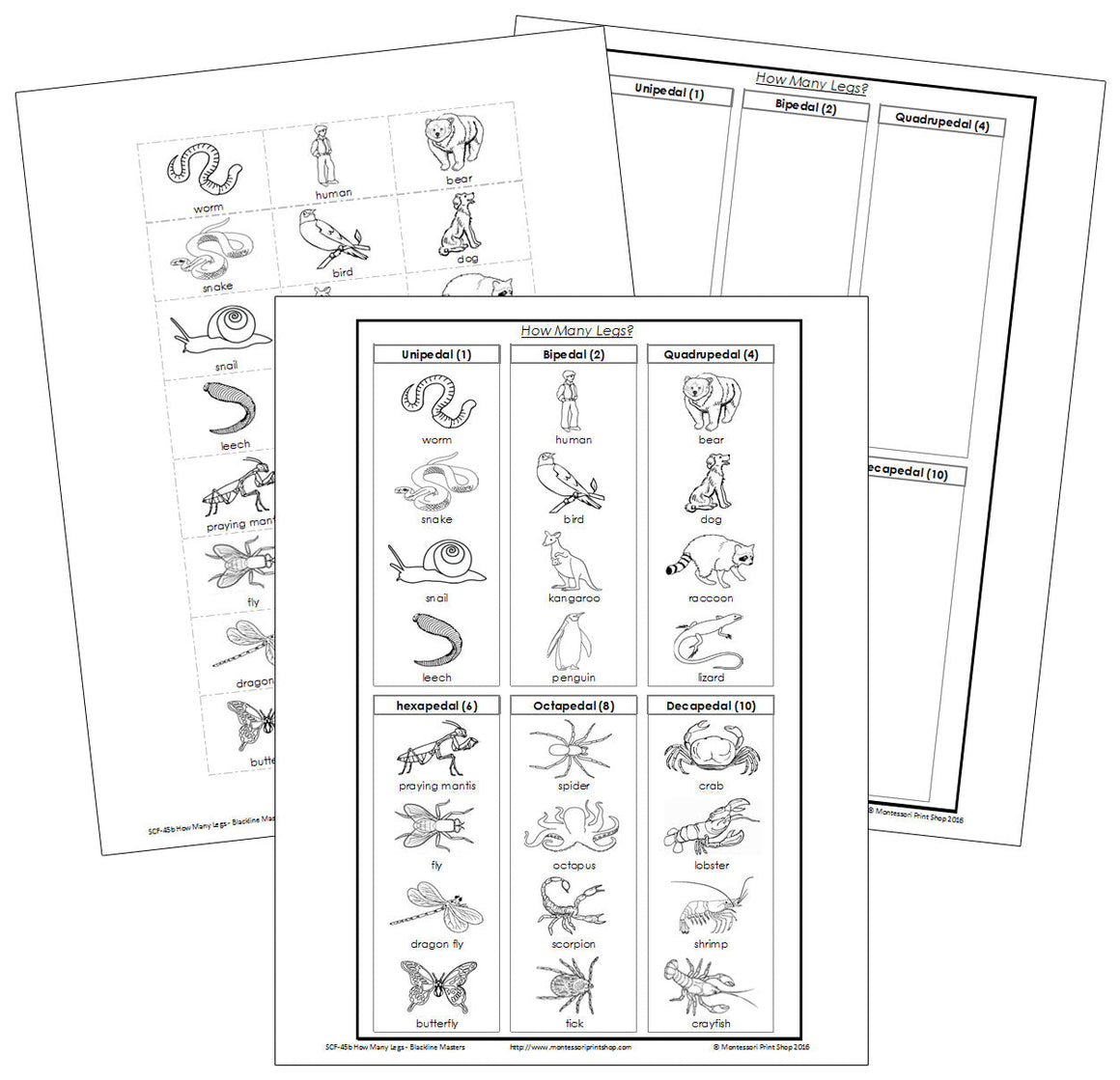 Animals: How Many Legs? (Blackline masters) - Montessori Print Shop