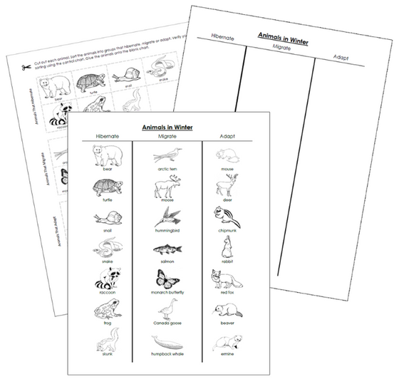 Animals In Winter Cut & Paste (blackline masters) - Montessori Print Shop Digital Download