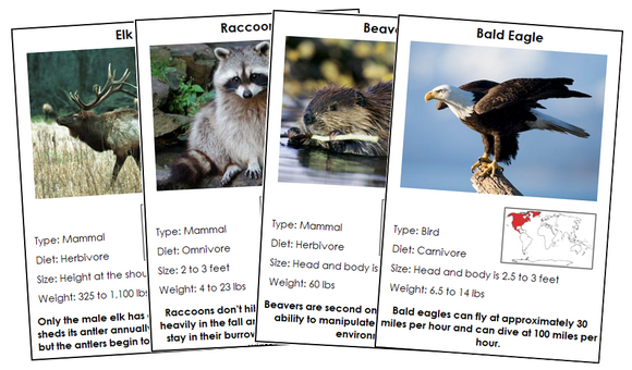 Animals of North America - Montessori Print Shop Digital Download zoology cards