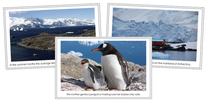 Antarctica Continent Cards (color borders) - Montessori Print Shop Digital Download geography