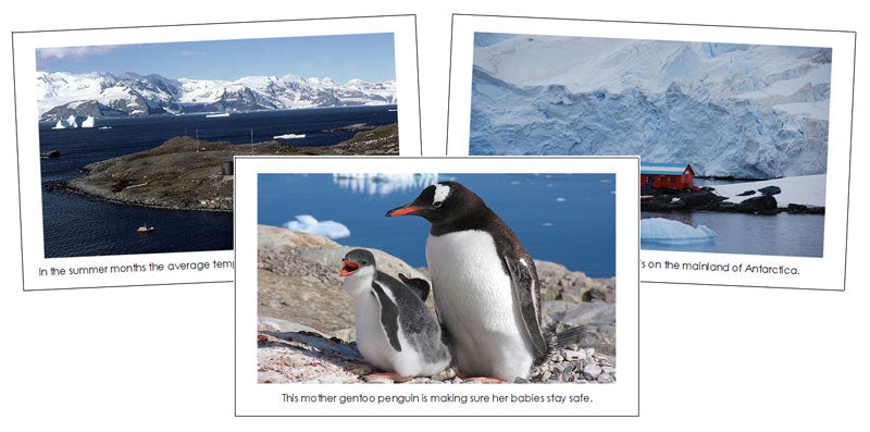 Antarctica Continent Cards - Montessori Print Shop Digital Download geography