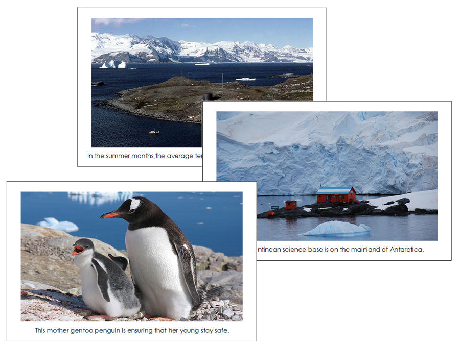 Antarctica Continent Cards - Montessori Print Shop Digital Download
