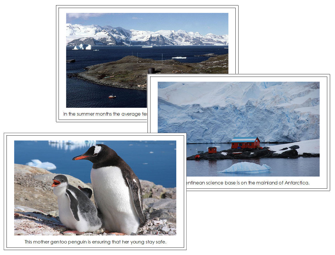 Antarctica Continent Cards - Montessori Print Shop Digital Download