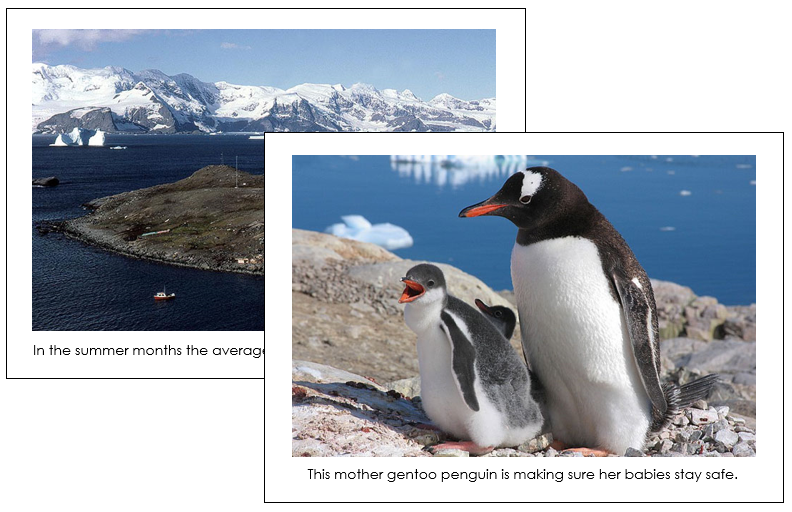 Continent Cards of the World Bundle