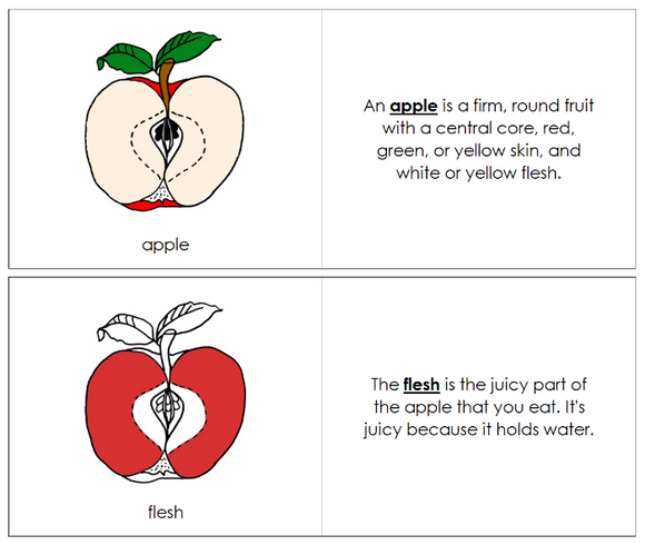 Parts of an Apple Nomenclature Book (red) - Montessori Print Shop Digital Download