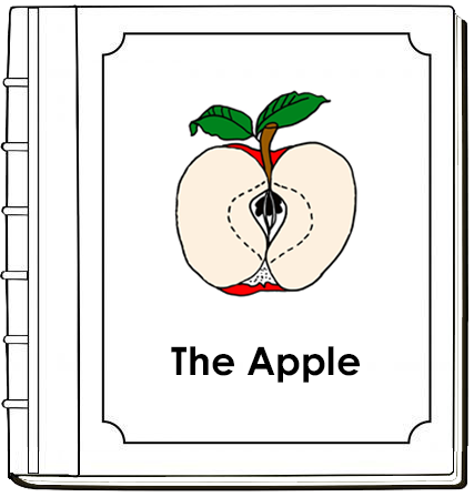 Parts of an Apple Nomenclature Book - Montessori Print Shop Digital Download