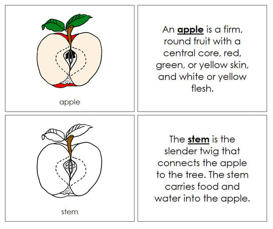 Apple Nomenclature Book - Montessori Print Shop