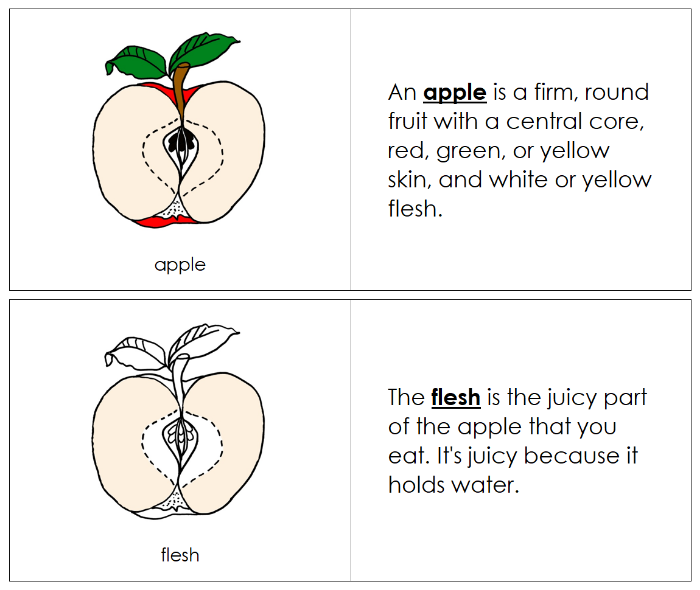 Parts of an Apple Nomenclature Book - Montessori Print Shop Digital Download