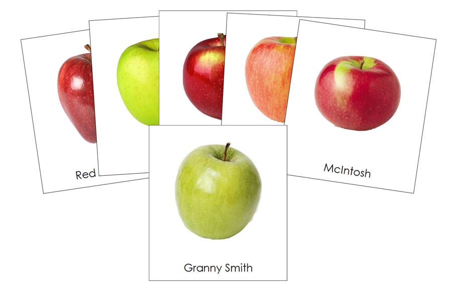Types of Apples Classified Cards - Montessori Print Shop Digital Download