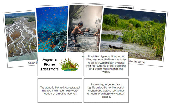 Aquatic Biome Fast Fact Cards and Pictures - Montessori Print Shop Digital Download