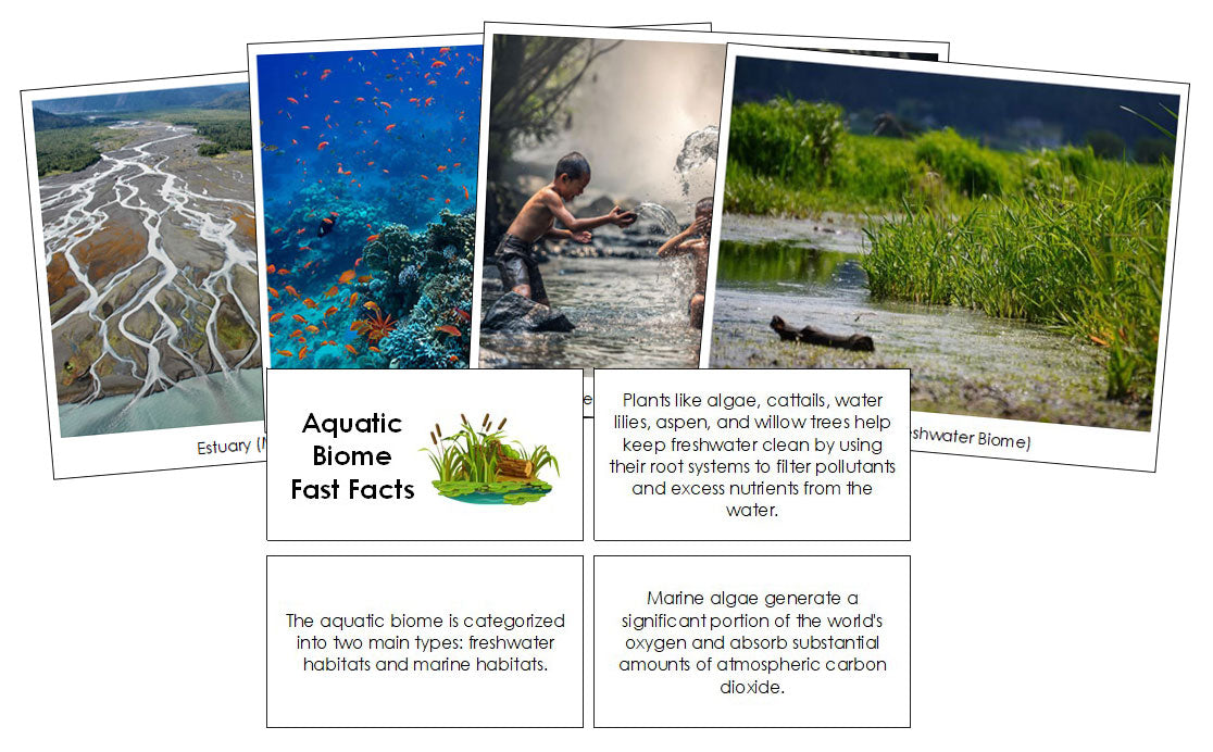Aquatic Biome Fast Fact Cards and Pictures - Montessori Print Shop Digital Download