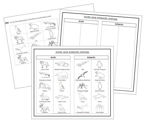 Arctic and Antarctic Animal Sorting Blackline Masters - Montessori Print Shop Science Activity